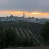 Vista paisajista (5)